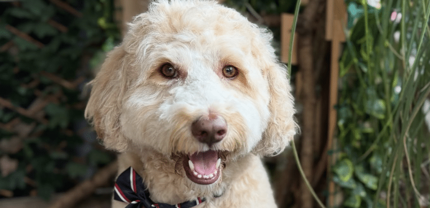 Schermafbeelding 2025 06 13 Om 10.38.31