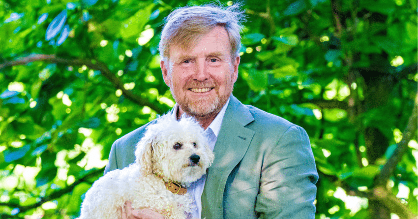 Juiste Formaat Uitgelichte Afbeelding