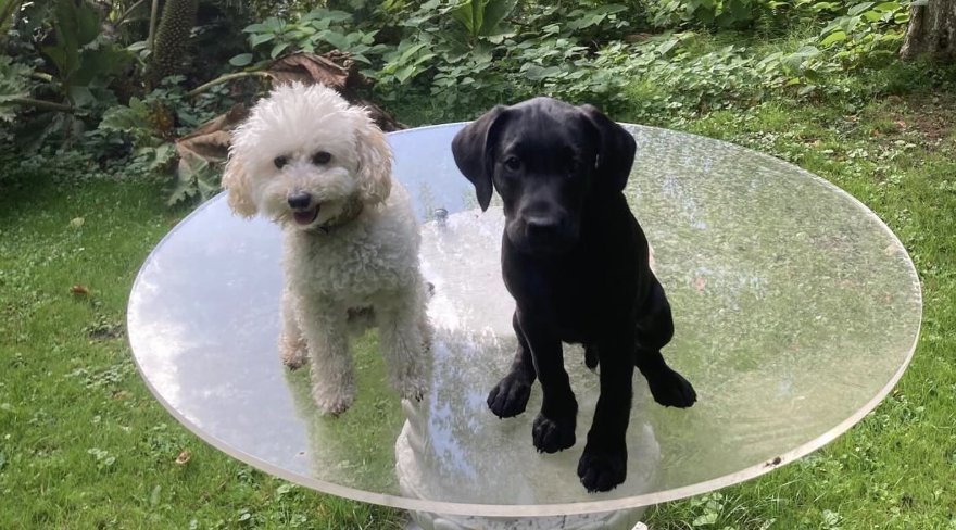 Scherm­afbeelding 2025 10 04 Om 15.33.42