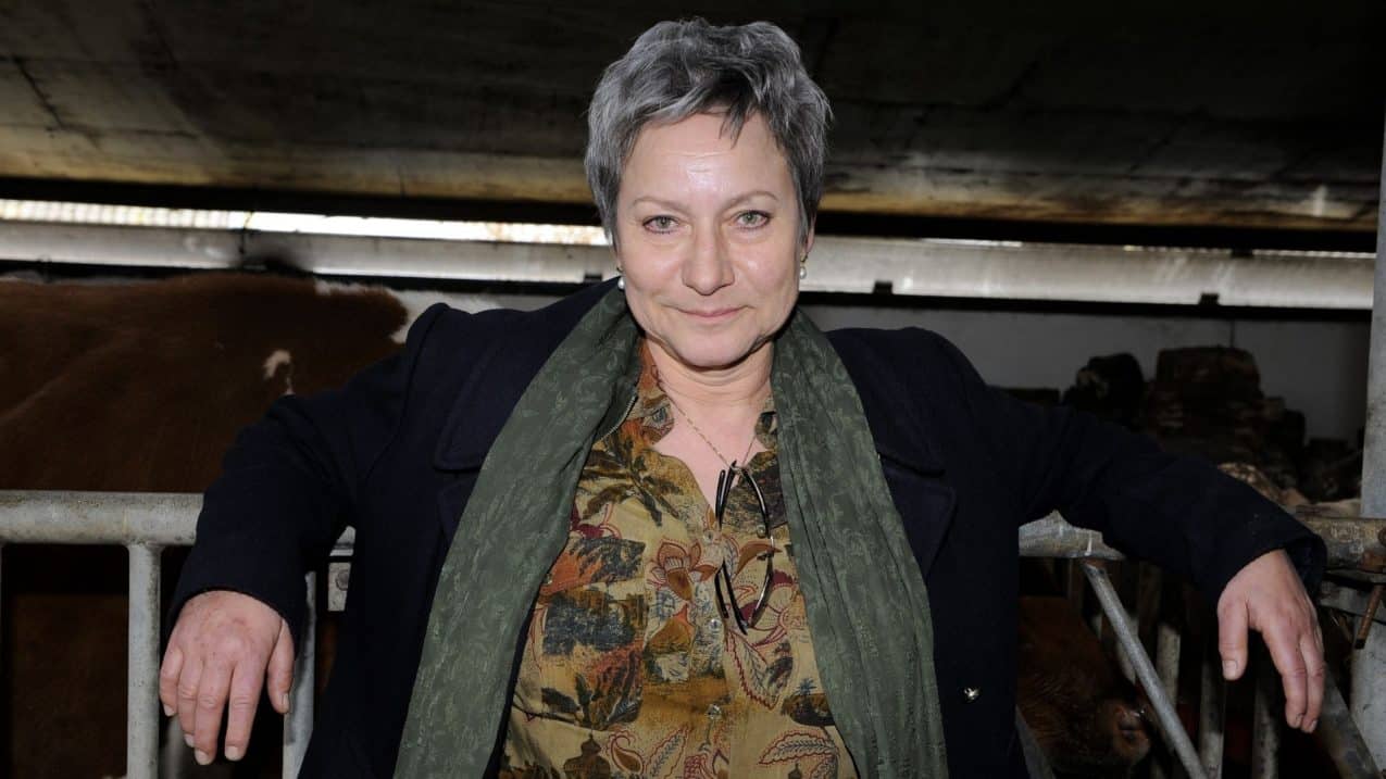 Juiste Formaat Uitgelichte Afbeelding