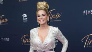 Premiere Van De Tina Turner Musical Rode Loper