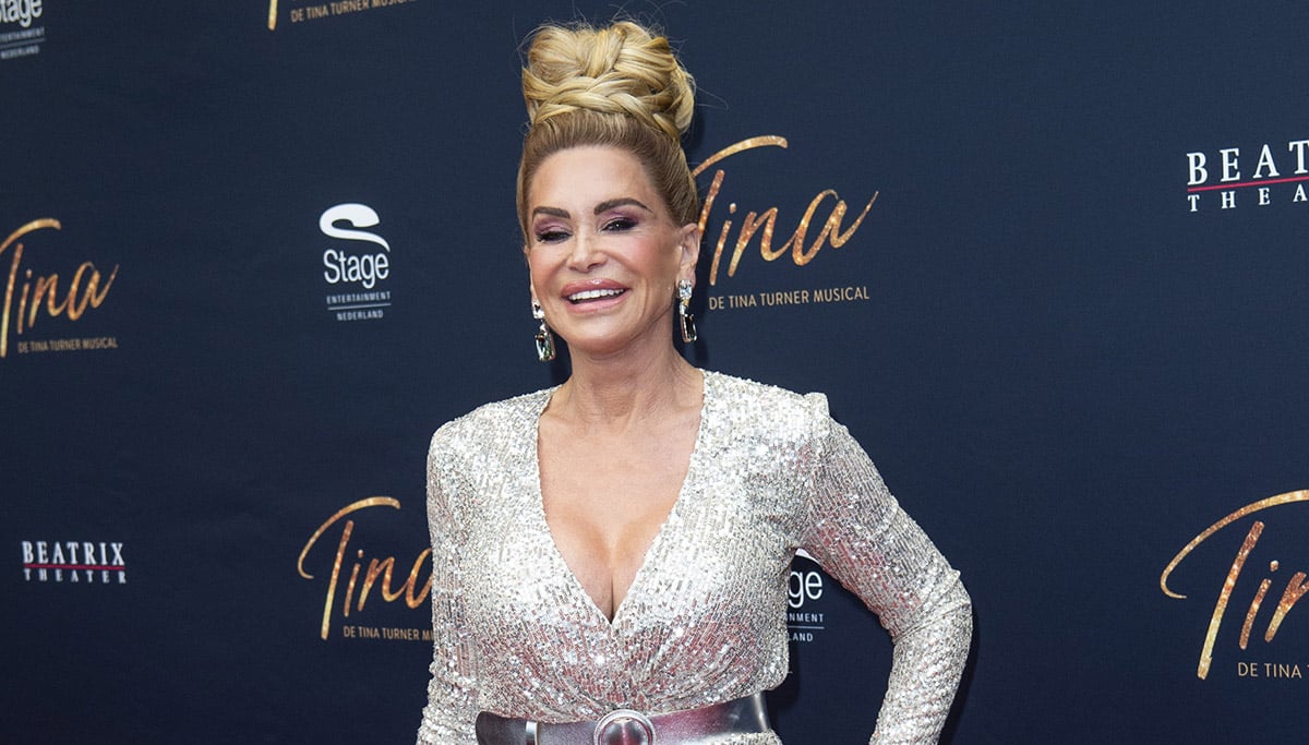 Premiere Van De Tina Turner Musical Rode Loper