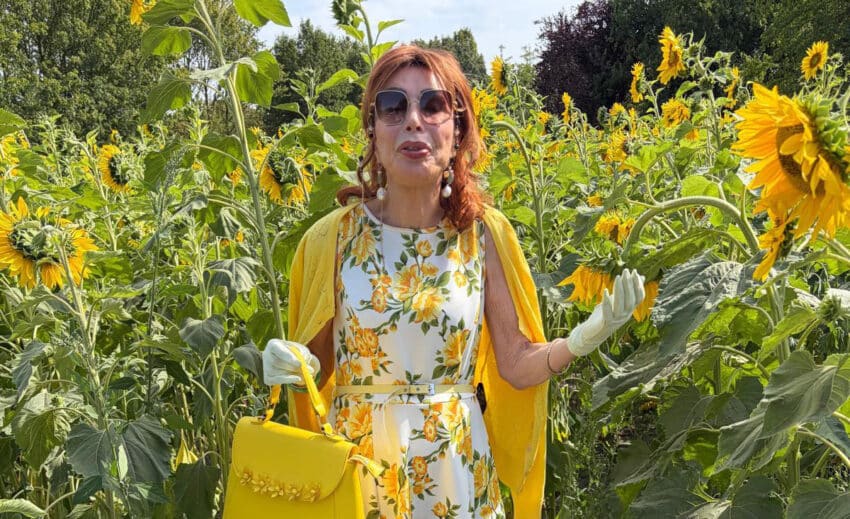 Marijke Helwegen Insta